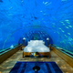 Image for article titled The Perfect Loft Is Under the Sea